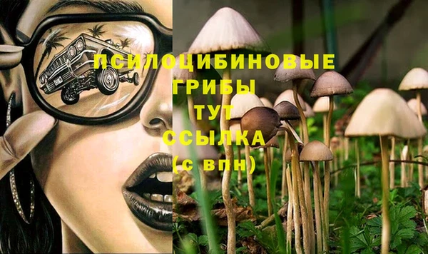 дмт Абинск